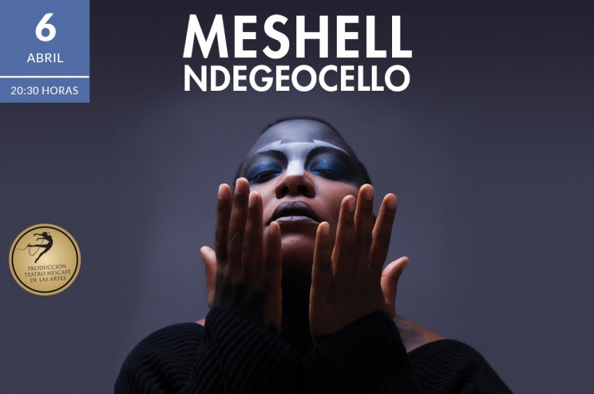 meshell_1000-850x564