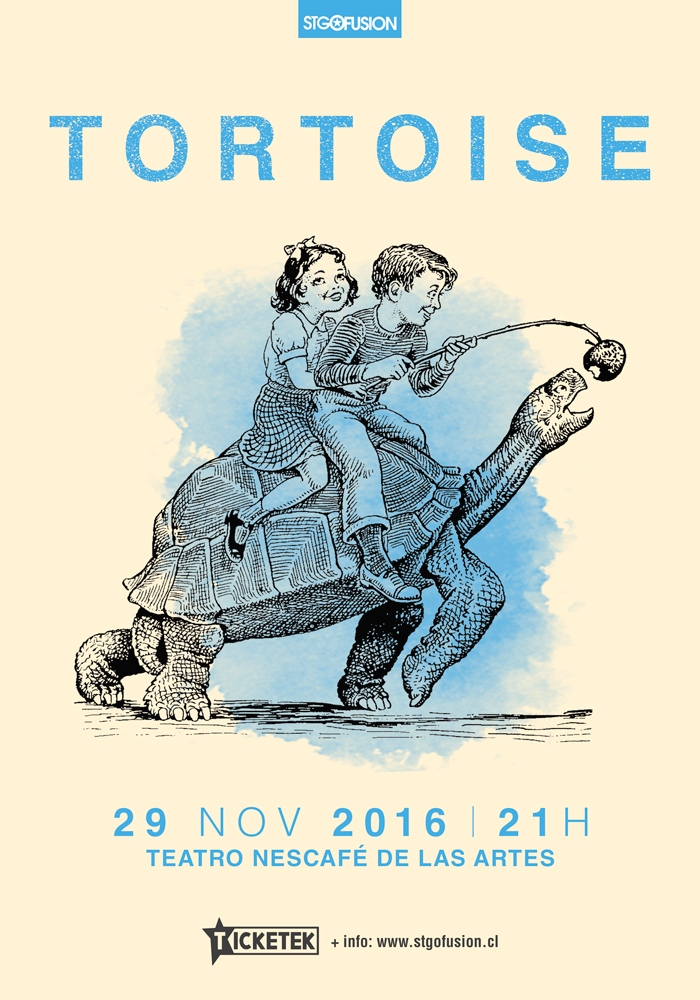tortoise_29nov