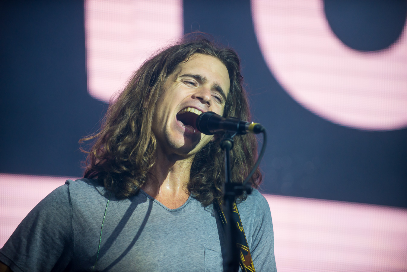 6. KONGOS LOTUS CHILE 2017 ©Jaime Valenzuela-3297