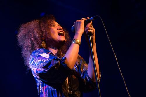 5D19B43C-39F2-4AFE-8758-E074B7376B64